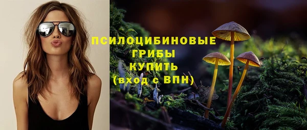 твердый Дмитровск
